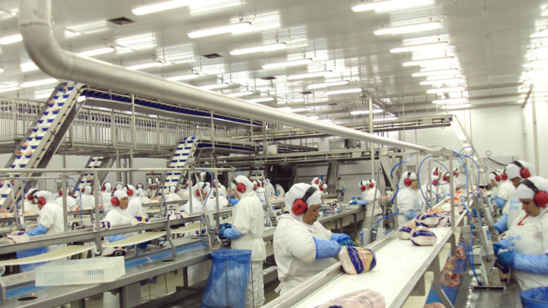 Conheça os direitos dos trabalhadores de frigoríficos em relação a doenças ocupacionais e como garantir sua proteção legal.